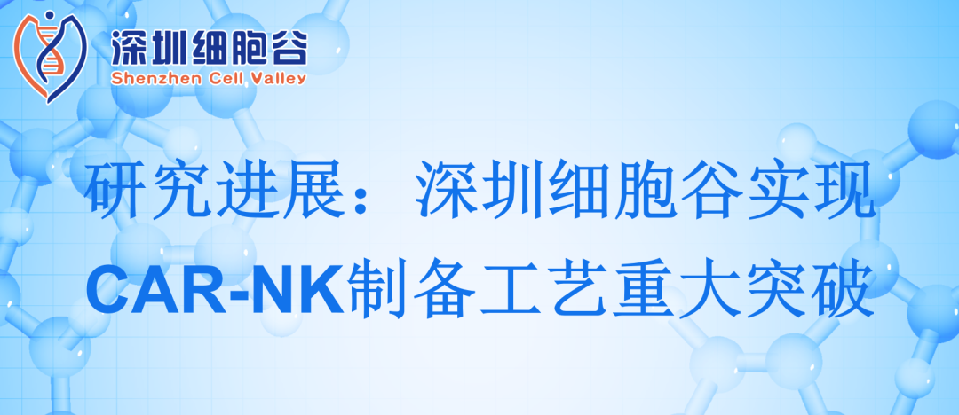 深圳凯发K8实现CAR-NK制备工艺重大突破