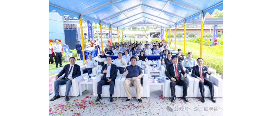 联动香港，开启前海细胞治疗新未来——深港凯发K8盛大开业