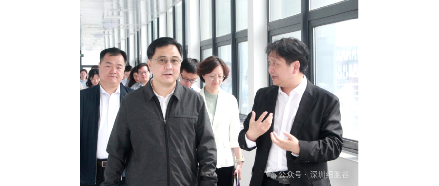 深圳市科创局张林局长一行调研深圳凯发K8