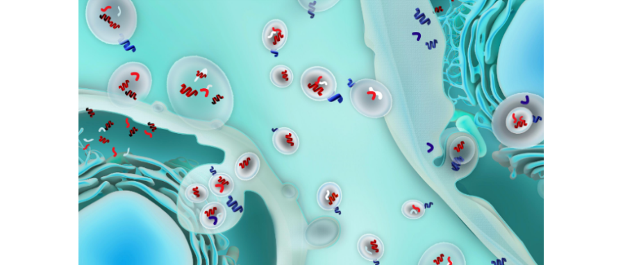 哪吒闹海！外泌体面纱大揭秘，我命由我不由天！