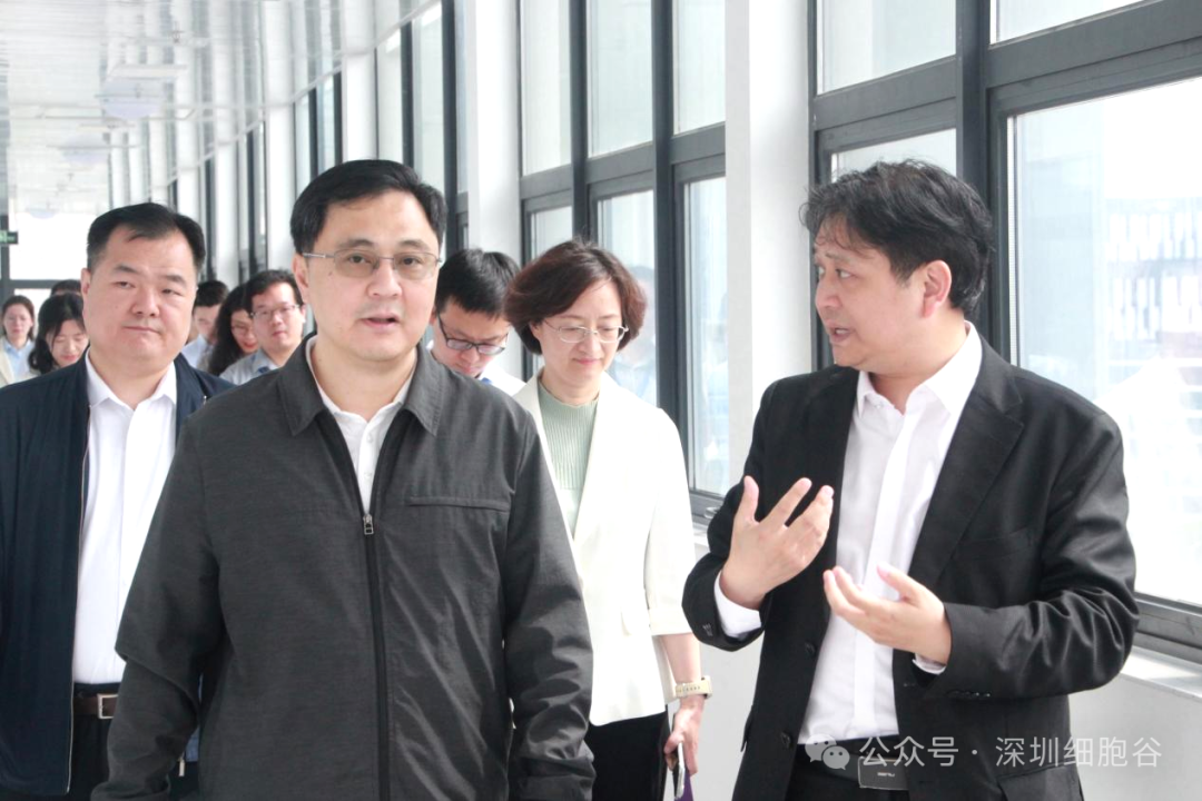 深圳市科创局张林局长一行调研深圳凯发K8