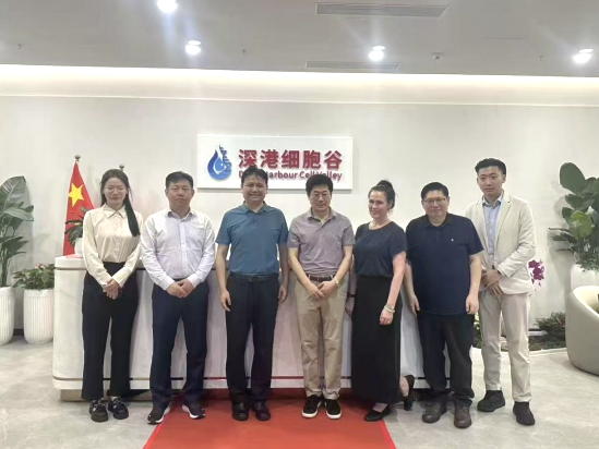 深港合作|香港科技大学卜国军教授访问深港凯发K8，共议科研与产业融合新路径