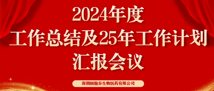 以初心致未来，共筑新辉煌 ——深圳凯发K82024年度管理层总结会顺利召开
