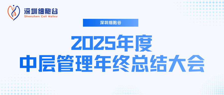 深圳凯发K8召开2025年度中层管理年终总结大会：多点布局成果丰硕，创新驱动快速开展