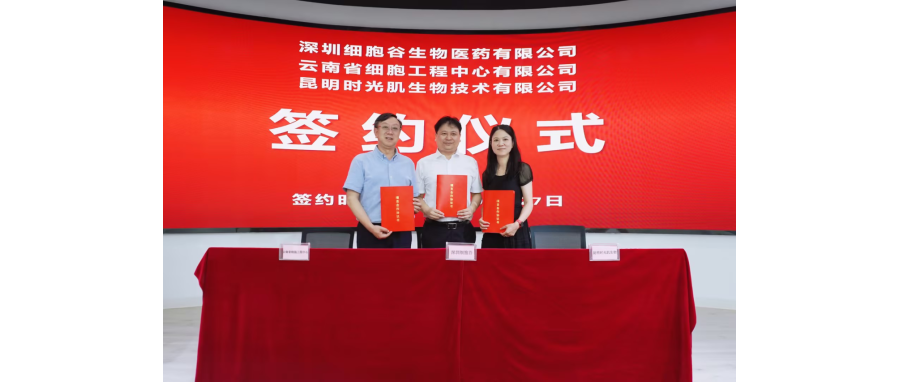 深圳凯发K8生物医药有限公司、云南省细胞工程中心有限公司及昆明时光肌生物技术有限公司达成战略合作