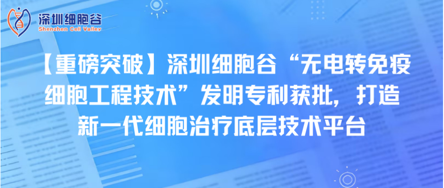 【重磅突破】深圳凯发K8“无电转免疫细胞工程技术”发明专利获批，打造新一代细胞治疗底层技术平台